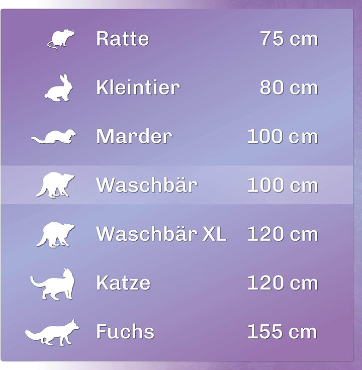 Martenbrown® Waschbärfalle Gross 100cm I Dient auch als Marderfalle oder Katzenfalle I Marder Kasten