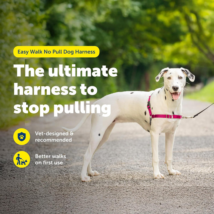 PetSafe Easy Walk Hundegeschirr. Himbeere/Grau Medium/Large, Himbeere/Grau Medium/Large
