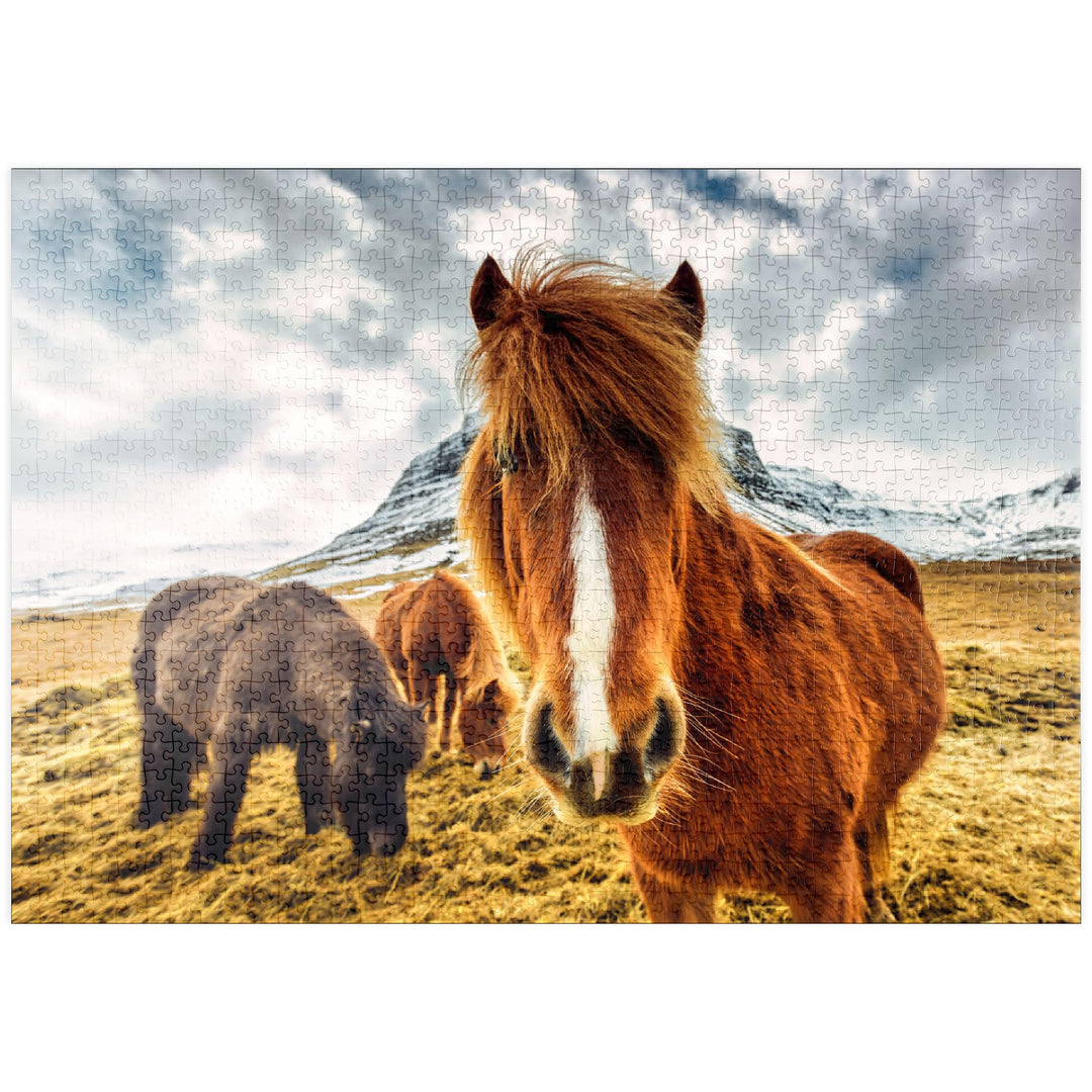 Pferde in den Bergen von Island - Premium 1000 Teile Puzzle - MyPuzzle Sonderkollektion von Puzzle G
