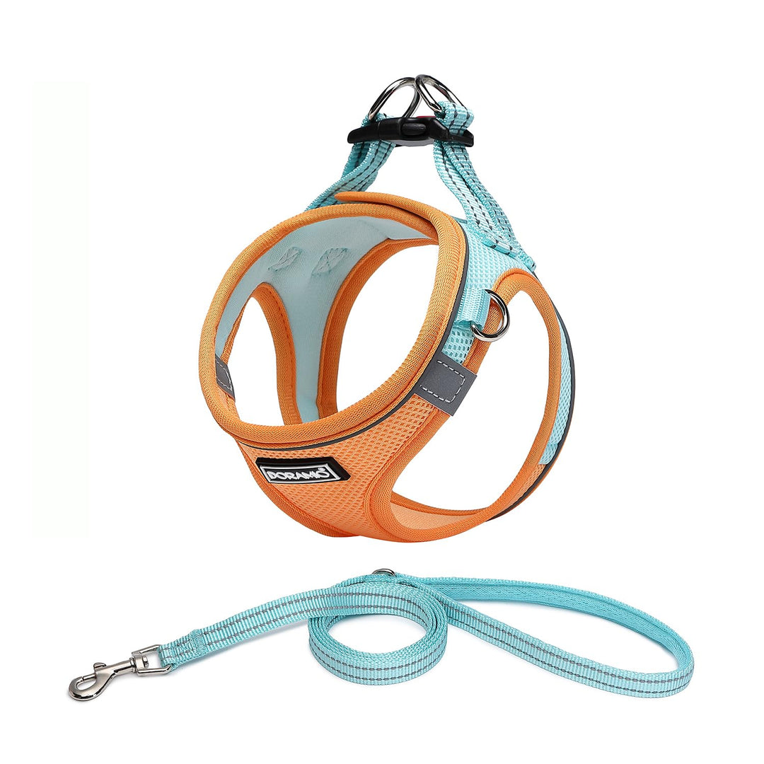 DORAMIO Hundegeschirr Kleine Hunde mit Leine, Step-in Geschirr Reflektierend Atmungsaktiv Brustgesch