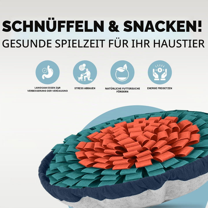 PET ARENA Schnüffelteppich Hund – Verstellbares, interaktives Puzzle-Spielzeug für grosse und kleine