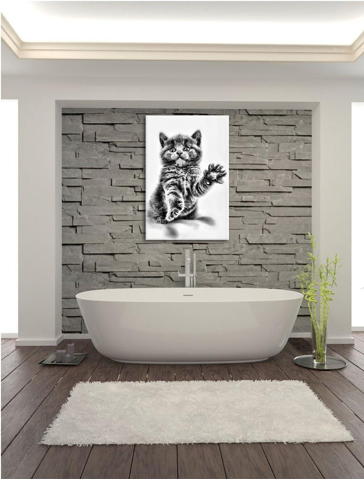 Pixxprint Babykatze die bettelt als Leinwandbild/Grösse: 100x70 / Wandbild/Kunstdruck/fertig bespann