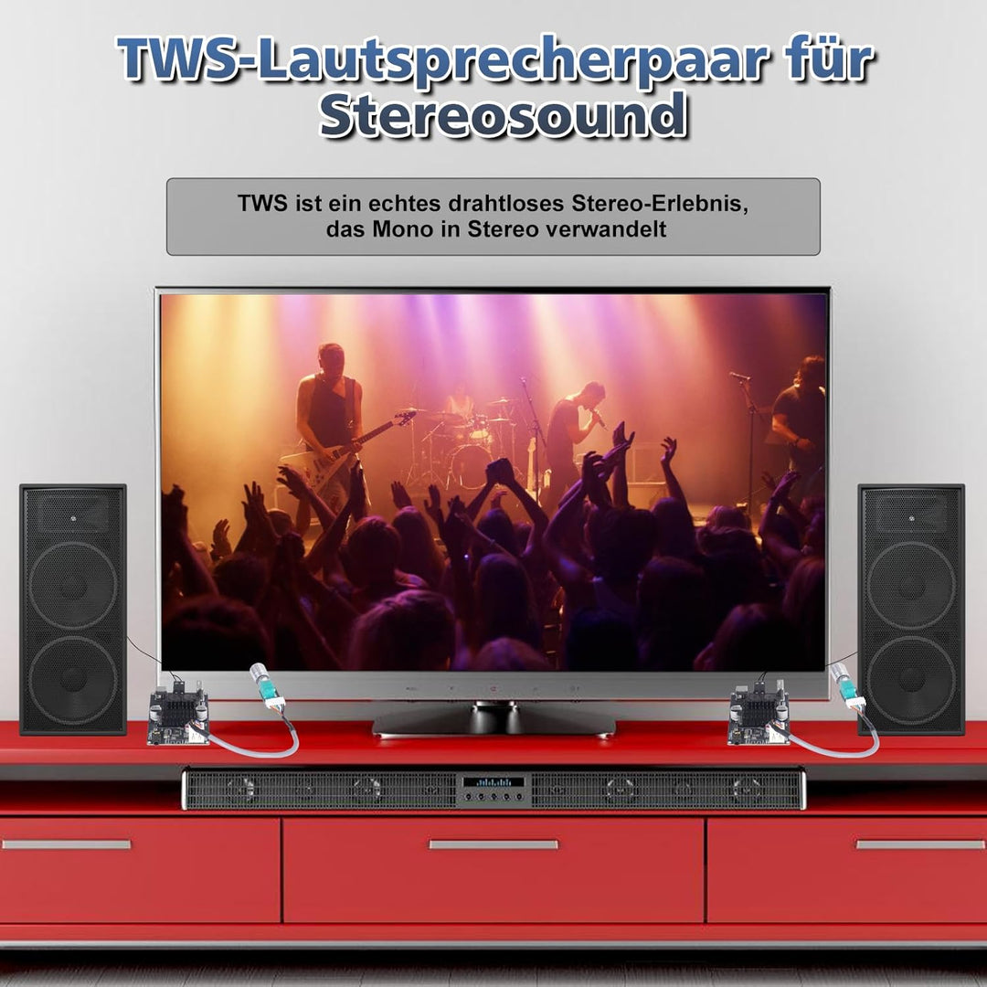 Bluetooth Verstärker Modul,TWS DC 9-24V 100W Mono Audio Verstärkerplatine mit AUX USB Bluetooth Plat