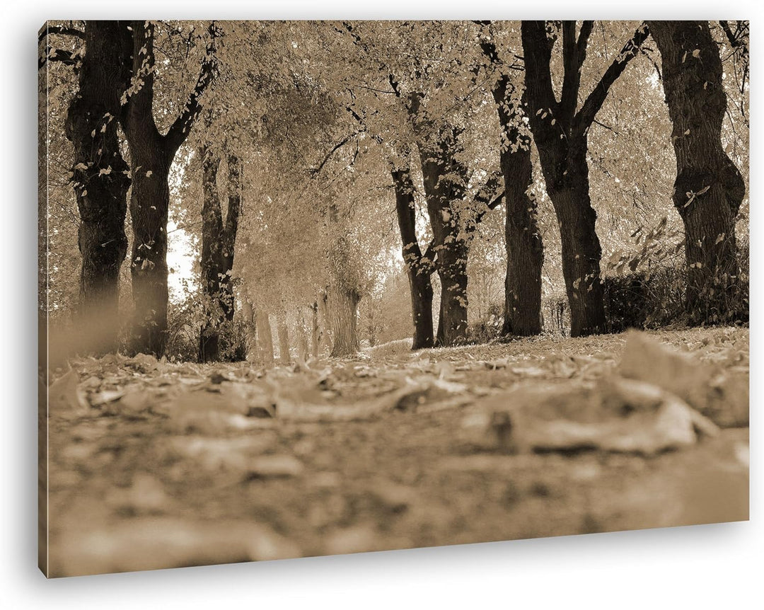deyoli Blätter bedeckter Waldweg Format: 80x60 Effekt: Sepia als Leinwand, Motiv fertig gerahmt auf