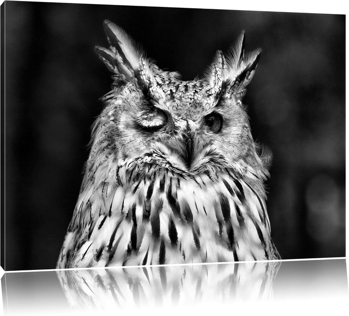 Pixxprint Waldohreule zwinkert / 100x70cm Leinwandbild bespannt auf Holzrahmen/Wandbild Kunstdruck D