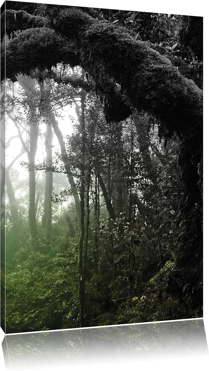 Pixxprint Regenwald in Seiner ganzen Pracht, Format: 80x120 auf hochkantiges Leinwand, XXL riesige B