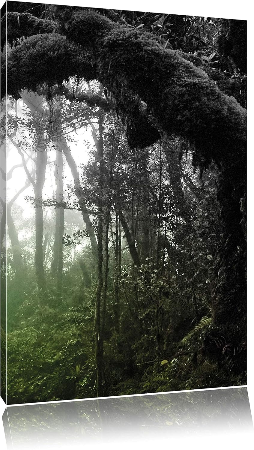 Pixxprint Regenwald in Seiner ganzen Pracht, Format: 70x100 auf hochkantiges Leinwand, XXL riesige B