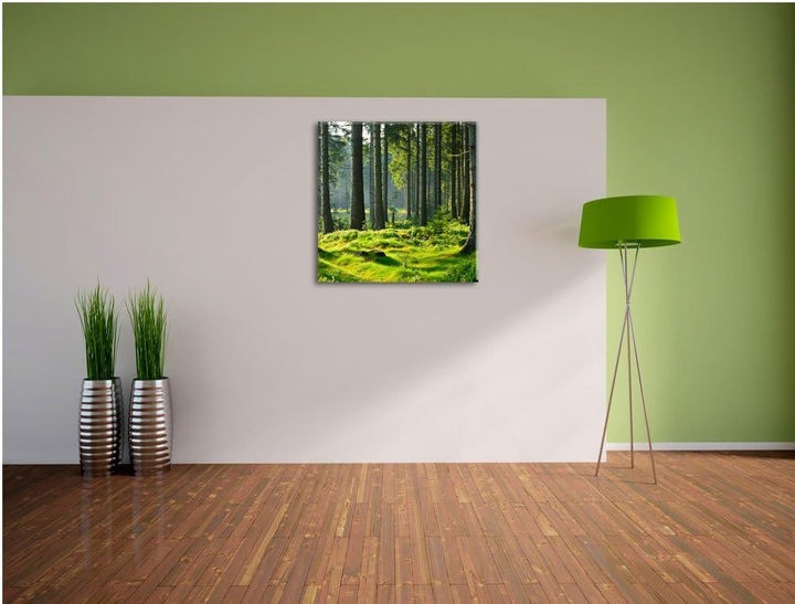 sonniger Tag im Wald, Format: 70x70 auf Leinwand, XXL riesige Bilder fertig gerahmt mit Keilrahmen,