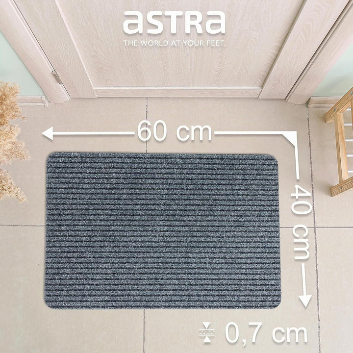 Astra Fussmatte innen grau Schmutzfangmatte rutschfest – Türmatte 40x60 cm wasserabweisend – Rib Lin
