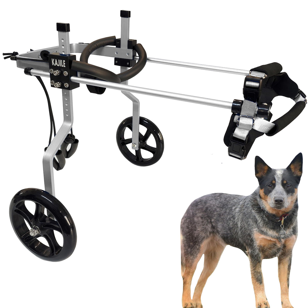 KAJILE Verstellbarer 2-Rad-Hunderollstuhl, L-3 Grösse für behinderte Hund Hinterbeine Rehabilitation
