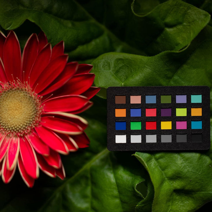 Calibrite ColorChecker Nano: Farbkarte für Fotografie, 24 x 40 mm, CCC-NANO, Mehrfarbige Farbfelder,