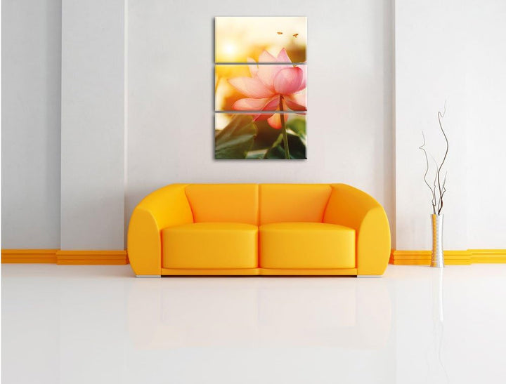 Pixxprint Lotus im Abendlicht als Leinwandbild | Grösse: 3 Teilig (120x80) | Wandbild| Kunstdruck |