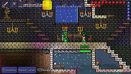 Terraria