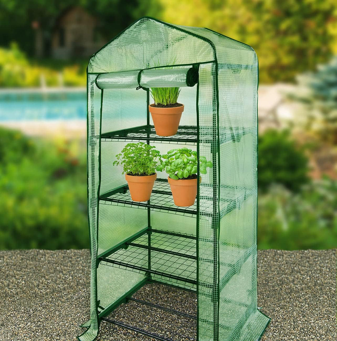 Royal Gardineer Tomatenhaus: Folien-Gewächshaus, 3 Etagen, aufrollbare Tür, 59 x 126 x 39 cm, grün (
