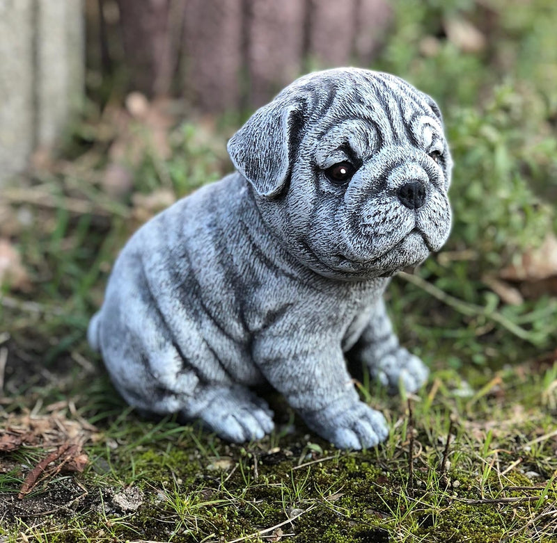 stoneandstyle Steinfigur Bulldogge Welpe massiver Steinguss frostfest wetterfest bis -30°C