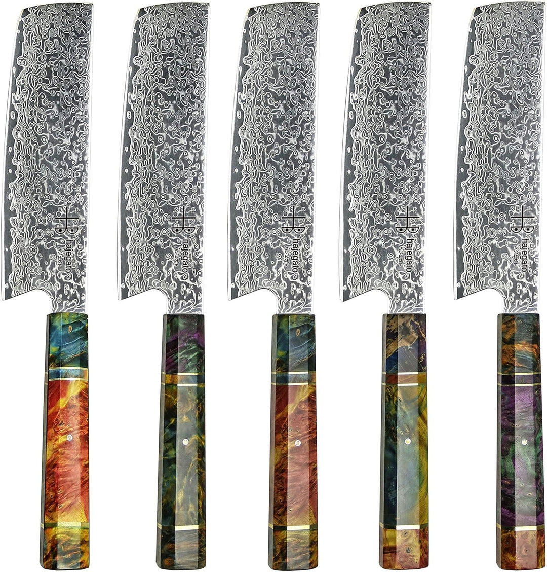 Hajegato Damastmesser Küchenmesser Einzigartiges Griff Kochmesser Profi Messer Japanisches Messer Vg