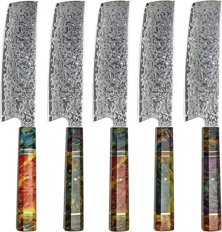 Hajegato Damastmesser Küchenmesser Einzigartiges Griff Kochmesser Profi Messer Japanisches Messer Vg