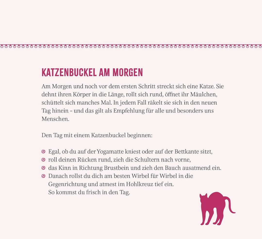 Wochenkalender 2025: Kluge Katzen: Katzenkalender zum Aufstellen mit Wochenkalendarium, Tischkalende
