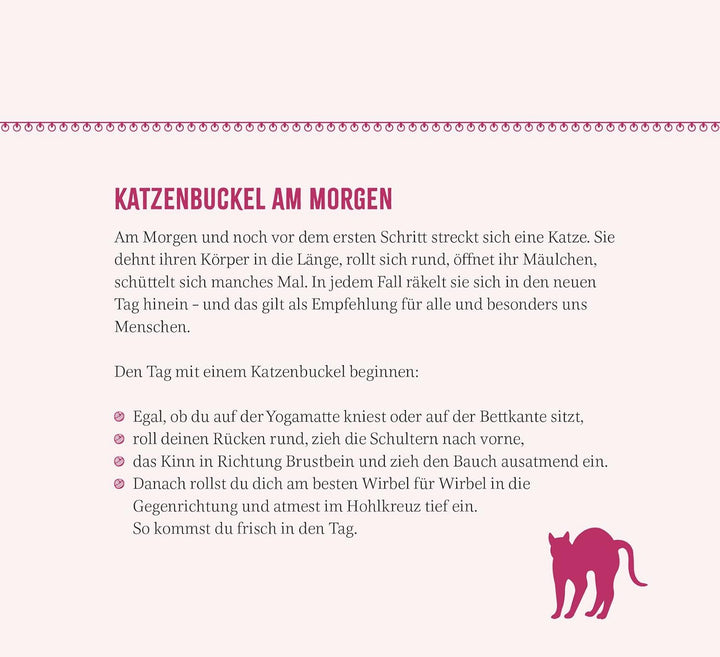 Wochenkalender 2025: Kluge Katzen: Katzenkalender zum Aufstellen mit Wochenkalendarium, Tischkalende