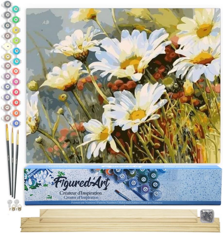 Figured'Art Malen Nach Zahlen Erwachsene Mit Rahmen Gänseblümchen Feld - Paint by Numbers Basteln DI