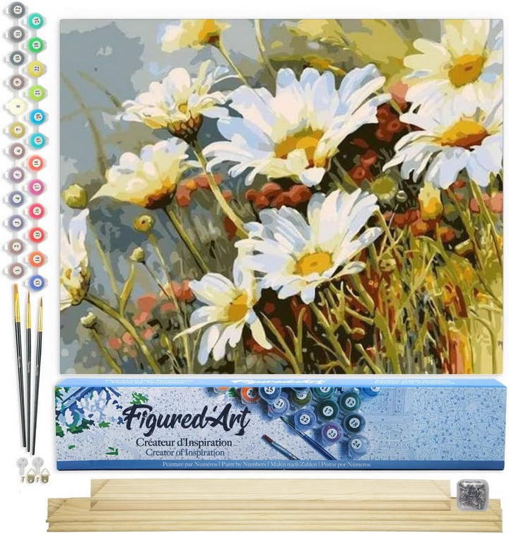 Figured'Art Malen Nach Zahlen Erwachsene Mit Rahmen Gänseblümchen Feld - Paint by Numbers Basteln DI