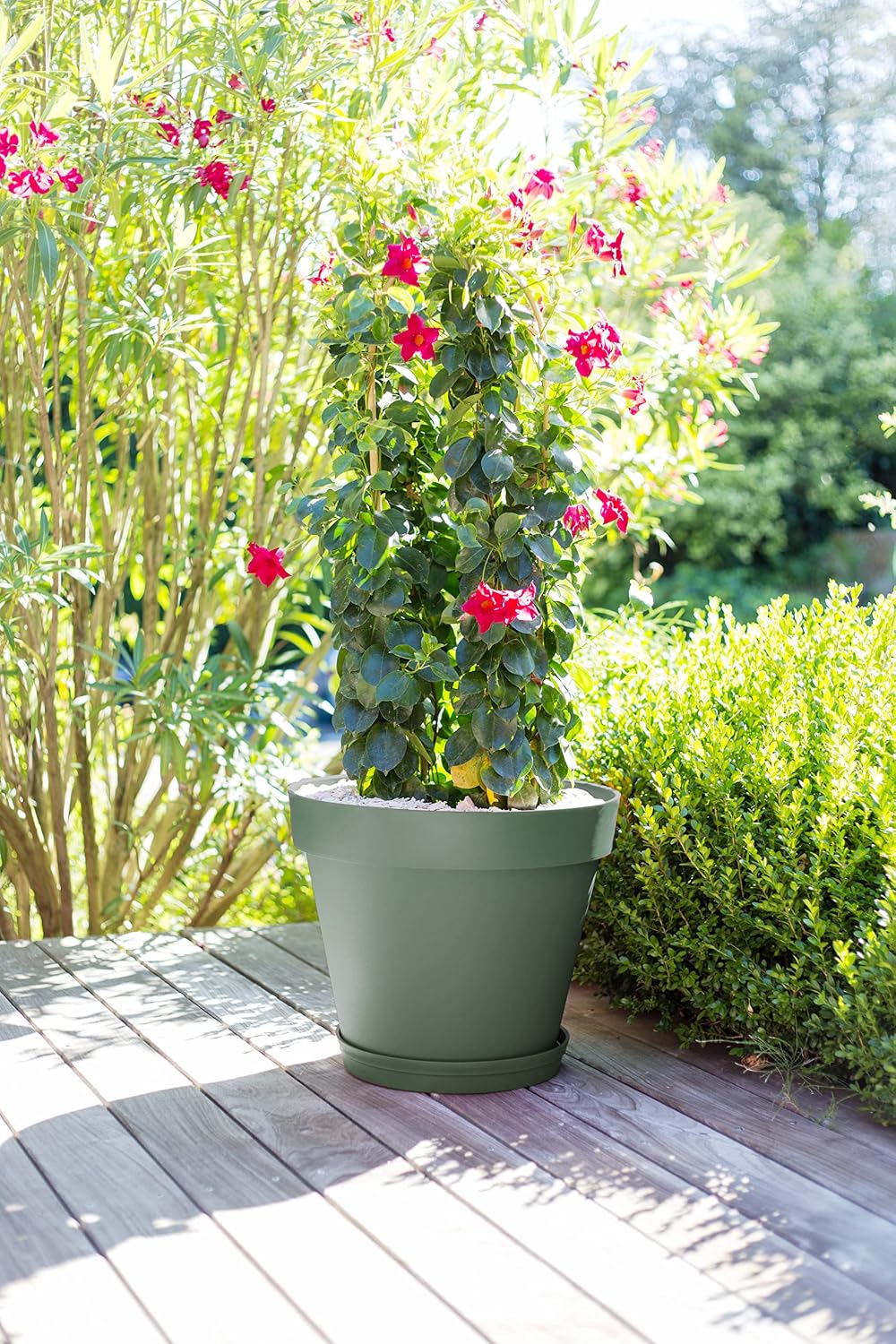 EDA - Blumentopf Toskana rund Ø 60 cm - Volumen 76 L - Ø 59 x H 47 cm - Buchtgrün Ø 59 x H.47 cm Lau
