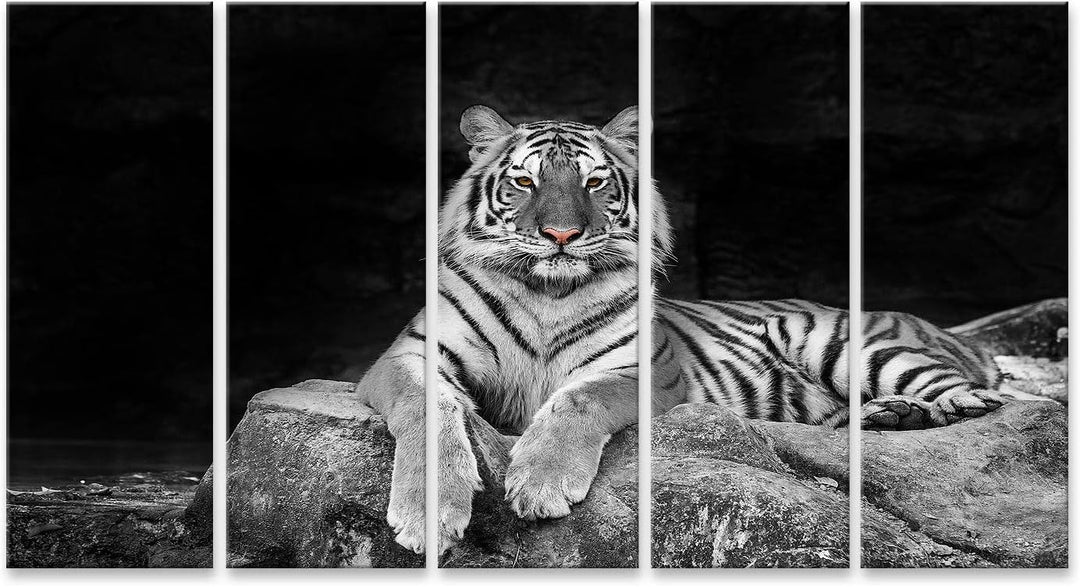 islandburner Bild auf Leinwand Tiger Liegt Auf Stein Schwarz-Weiss Bilder Wandbilder Poster Leinwand