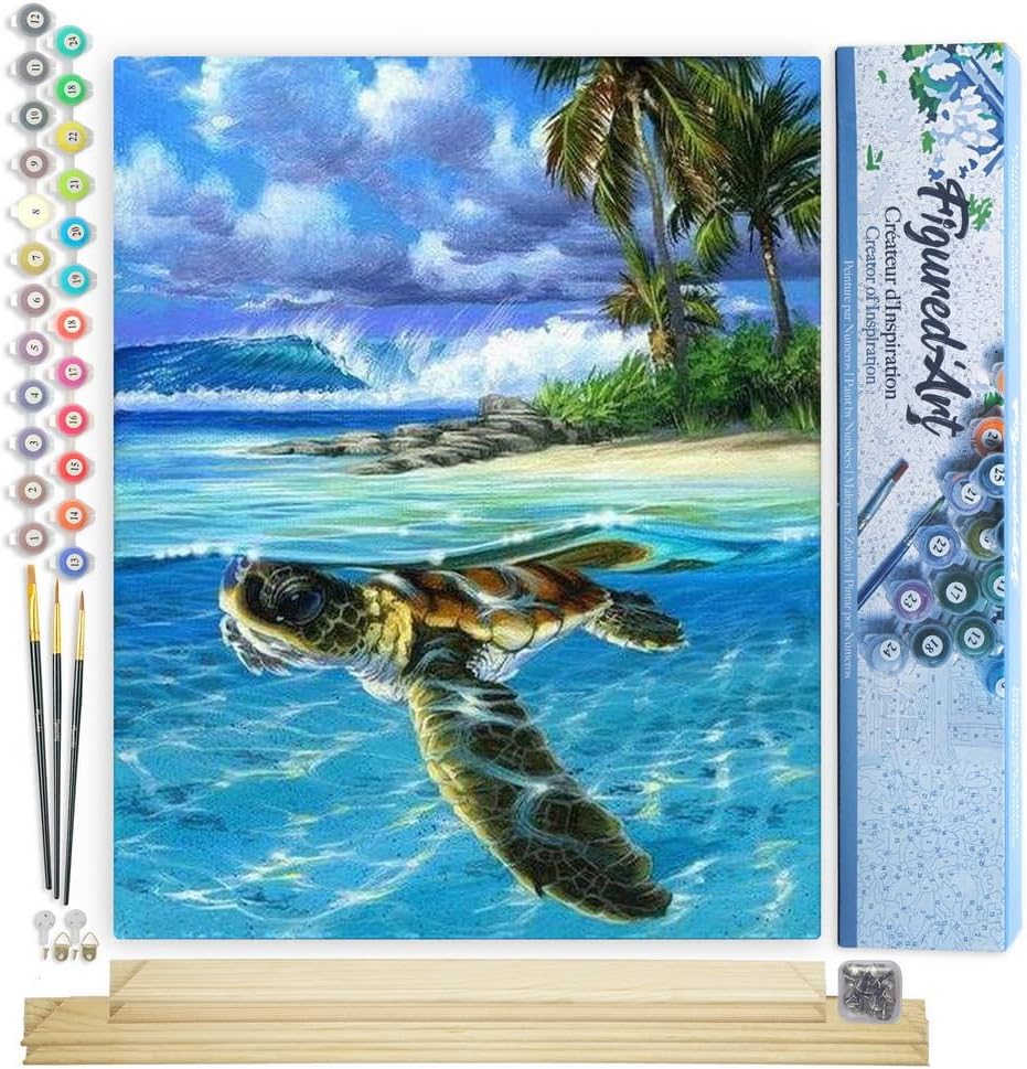 Figured'Art Malen Nach Zahlen Erwachsene Mit Rahmen Entspannte Schildkröte - Paint by Numbers Bastel