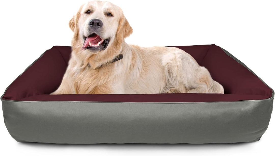 BedDog 2in1 Hundebett MAX Quattro, grosses Hundekörbchen aus Cordura, waschbares Hundebett mit Rand,