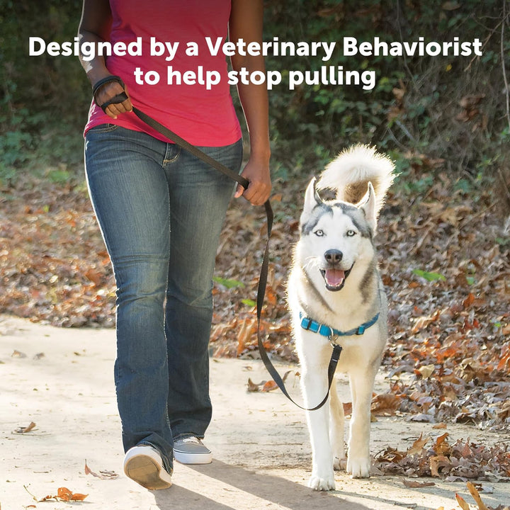 PetSafe Deluxe Easy Walk Hundegeschirr apfelgrün Medium, apfelgrün Medium