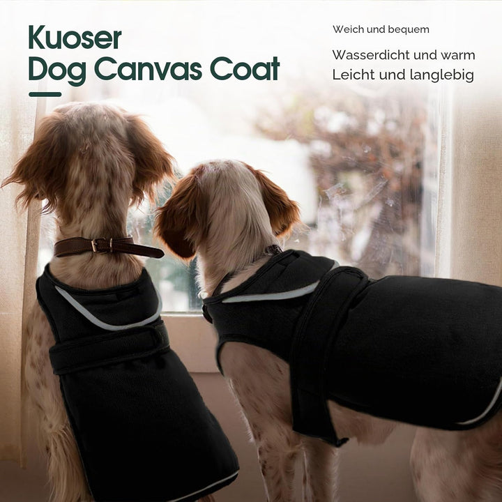Kuoser Wasserdicht Hundemantel Hundejacke für Kleine Mittelgrosse Hunde, Reflektierende Leinwand Win