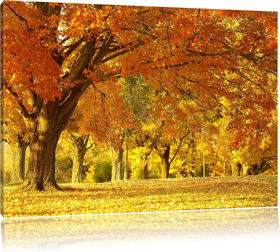 schöne Herbstlandschaft, Format: 100x70 auf Leinwand, XXL riesige Bilder fertig gerahmt mit Keilrahm