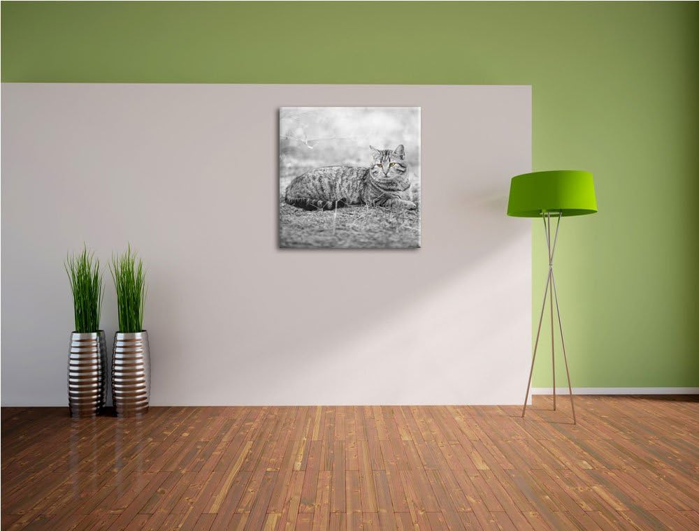 Pixxprint ruhende Katze auf Waldboden schwarz/weiss, Format: 70x70 auf Leinwand, 70x70