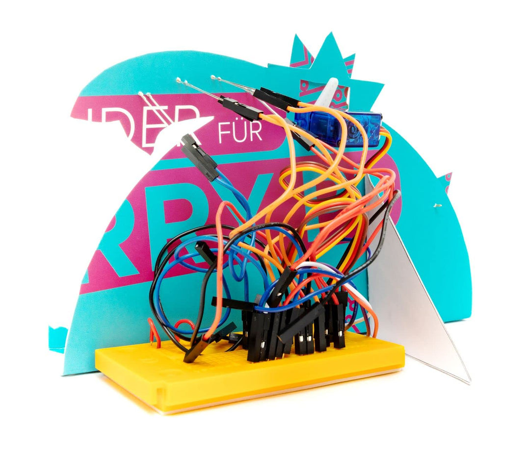 FRANZIS 55103 - Raspberry Pi Adventskalender, in 24 Tagen eine Weihnachtskrippe bauen und programmie