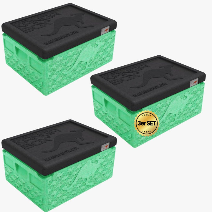 Mini Thermobox kalt & warm 1,5L – Ideal als Lunchbox oder Brotdose - Ultraleicht & perfekt schliesse