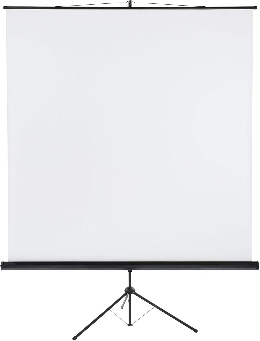 Franken LWST222 Stativleinwand X-tra beschichtetes Gewebetuch (220 x 220 cm) 220 x 220 cm Format 1:1