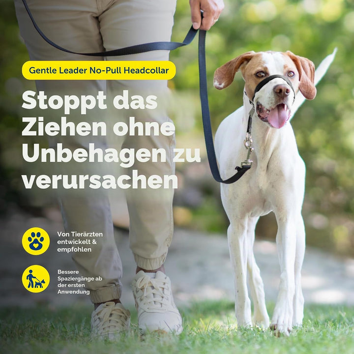 PetSafe Sanfter Führer Halsband mit Trainings-DVD schwarz Medium, schwarz Medium