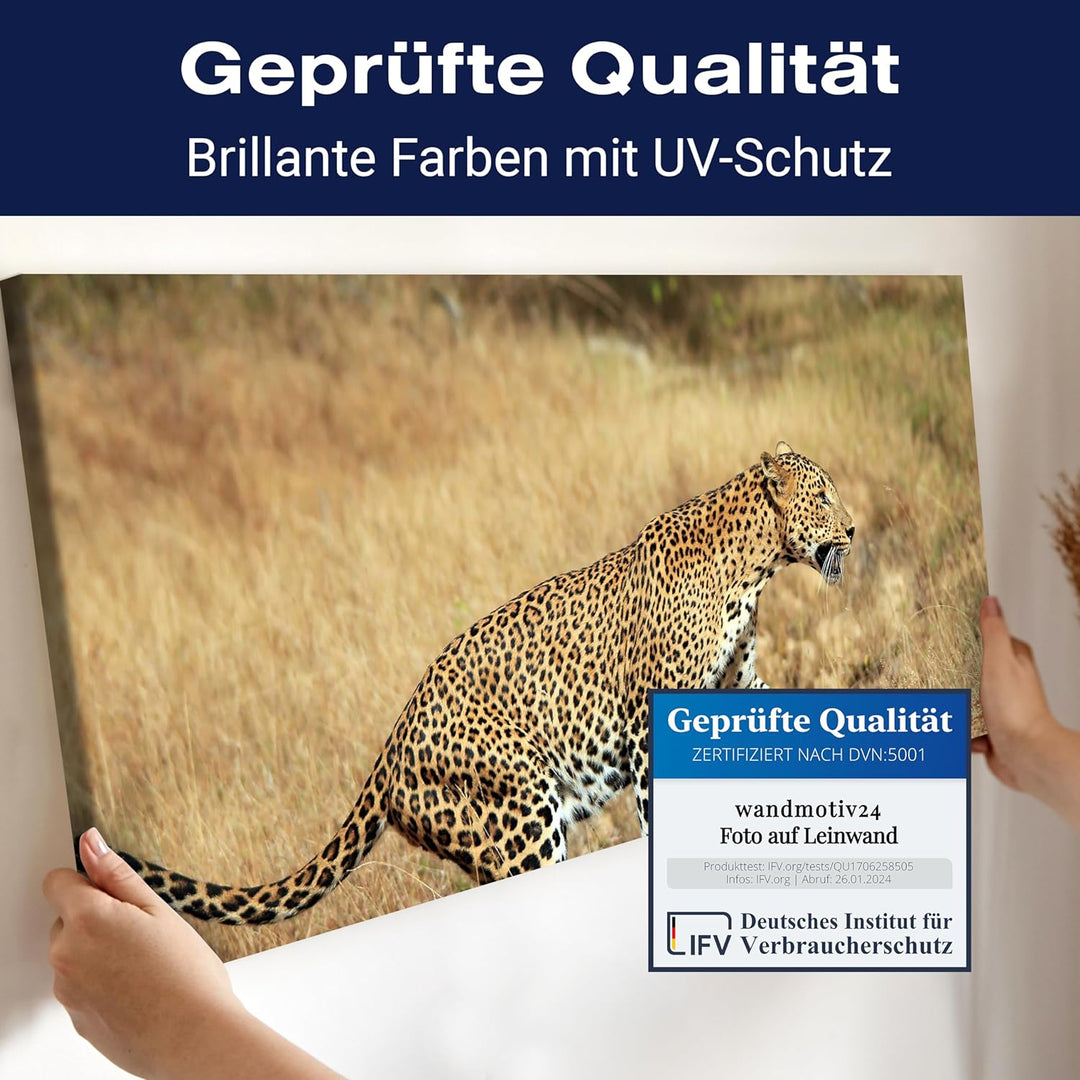 wandmotiv24 Leinwandbild Sri-Lankischer Leopard 100x40cm (BxH) Bilder auf Leinwand, Dekoration Wohnu