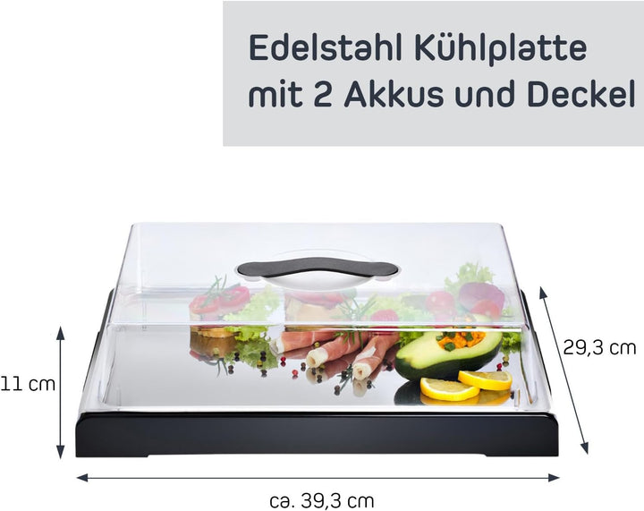 FH - Servierplatte mit Deckel - Kuchen Transportbox mit Kühlung, Kühlplatte mit Haube und Kühlakkus