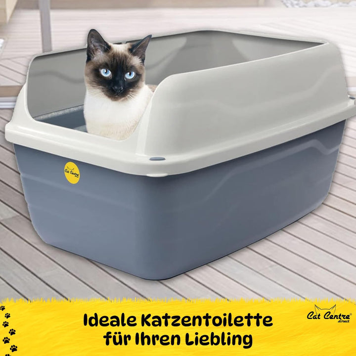 Cat Centre Katzenklo XL Offen Mit Extra Hohem Rand Katzentoilette Ohne Deckel Grau XL 56 x 40 cm XL