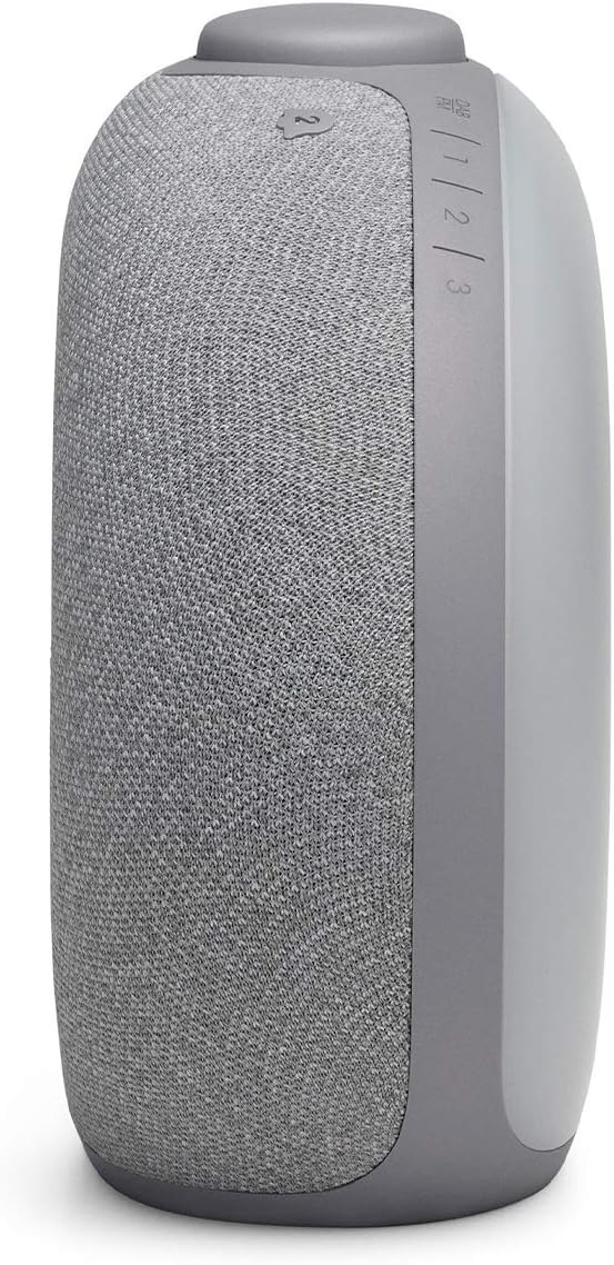 JBL Horizon 2 Bluetooth-Lautsprecher, mit FM-Radio und DAB, Grau