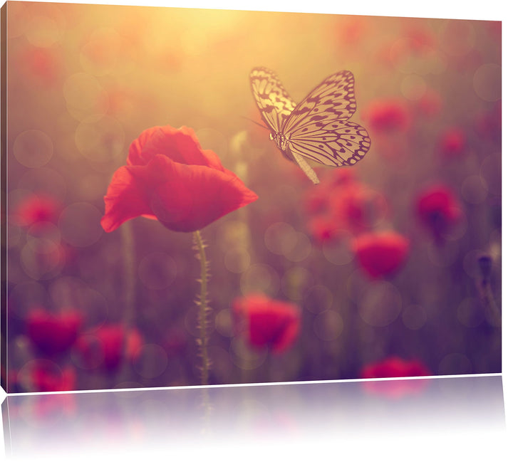 Mohn und Schmetterling, Format: 100x70 auf Leinwand, XXL riesige Bilder fertig gerahmt mit Keilrahme