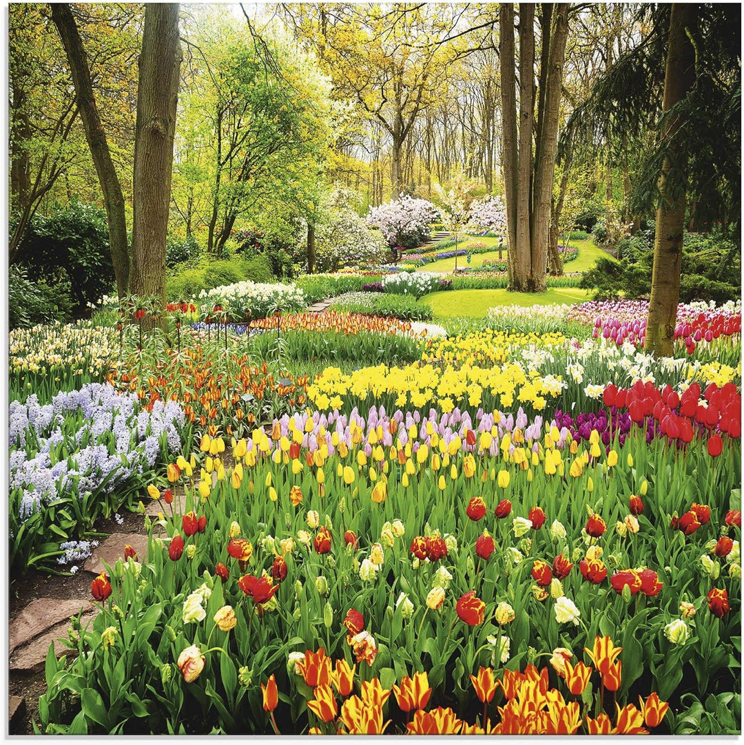 Glasbilder Wandbild Glas Bild einteilig 50x50 cm Quadratisch Blumenwiese Tulpen Blumen Frühling Natu