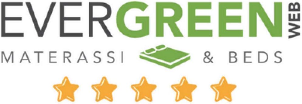 EVERGREENWEB ✅ Angebot! 2er Set Kissen 100% Memory Flocken 60x60 cm, 15 cm Hoch, Ideal gegen Nackens