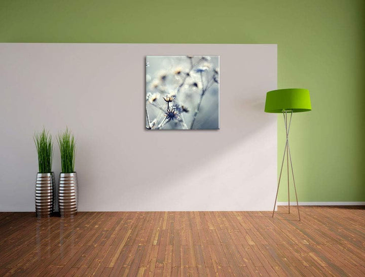 Pflanzen im Frost, Format: 70x70 auf Leinwand, XXL riesige Bilder fertig gerahmt mit Keilrahmen, Kun