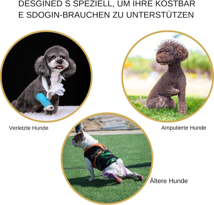 Hebegurt Altere Hunde - Tragehilfe Für Haustiere | Verstellbares Gehhilfe Hilfsmittel Altere Behinde