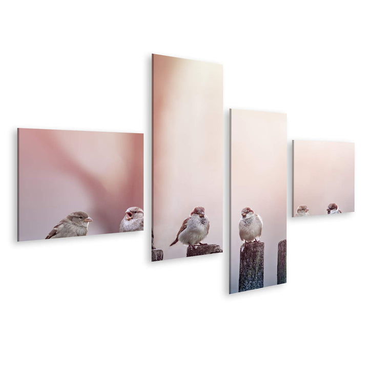 islandburner Bild auf Leinwand Spatzen Sonnenlicht Pfähle Bilder Wandbilder Poster Leinwand 150x80cm