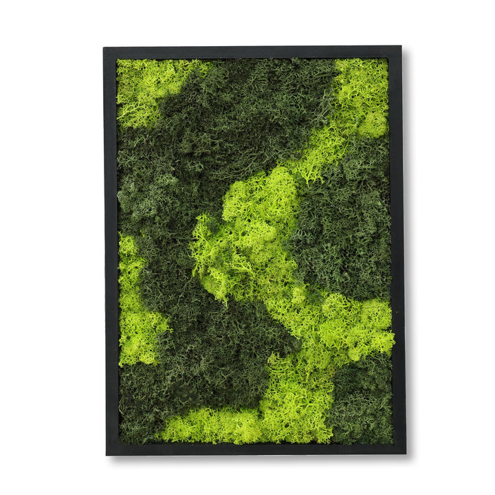 comforder Rechteckiges Wandbild mit echtem Moos (27x38 cm), Konserviertes Moosbild mit Holzrahmen, N