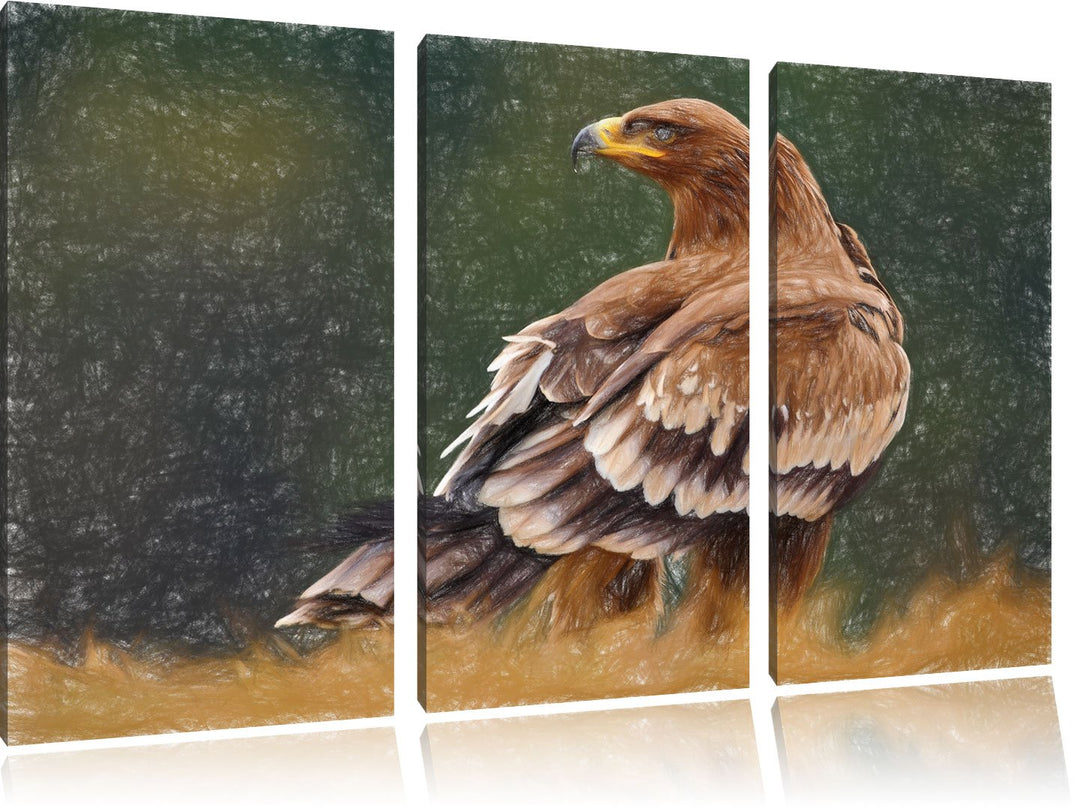 Pixxprint Falke mit braunem Gefieder als Leinwandbild 3 teilig/Grösse: 3 Teilig (120x80) / Wandbild/