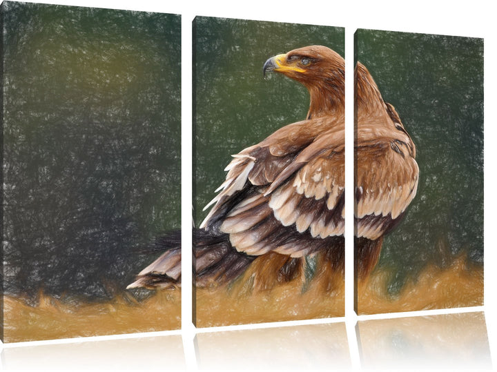 Pixxprint Falke mit braunem Gefieder als Leinwandbild 3 teilig/Grösse: 3 Teilig (120x80) / Wandbild/